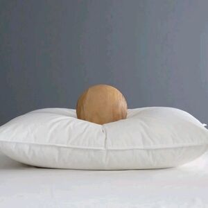 NWOT- Quince Standard White Duck Down Premium Pillow (Medium)(P43)